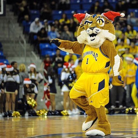 The Science of Bobcat Mascot Attire: How It Can Influence Performance